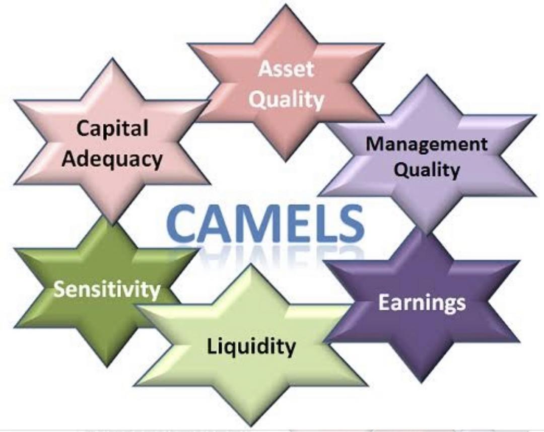Rating definition. Рейтинговая система Camels. Camels метод анализа банков. Методика Camels. Рейтинговая система надежности Camel..